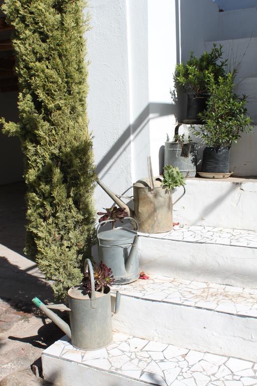 Cape Karoo Guesthouse Beaufort West Esterno foto